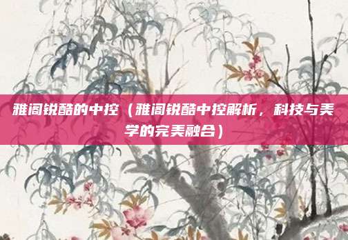 雅阁锐酷的中控(雅阁锐酷中控解析,科技与美学的完美融合)
