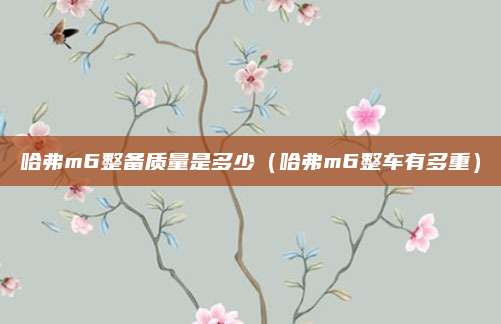 哈弗m6整备质量是多少(哈弗m6整车有多重)