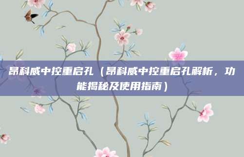 昂科威中控重启孔（昂科威中控重启孔解析，功能揭秘及使用指南）