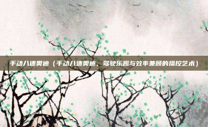 手动八速奥迪(手动八速奥迪,驾驶乐趣与效率兼顾的操控艺术)