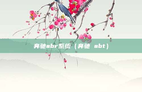 奔驰abr系统(奔驰 abt)
