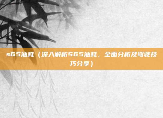 s65油耗(深入解析S65油耗,全面分析及驾驶技巧分享)