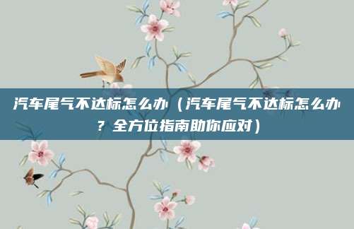 汽车尾气不达标怎么办（汽车尾气不达标怎么办？全方位指南助你应对）