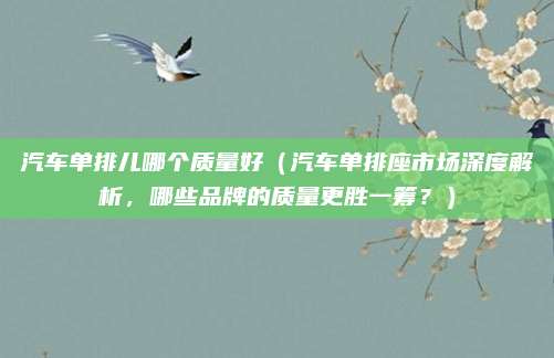 汽车单排儿哪个质量好(汽车单排座市场深度解析,哪些品牌的质量更胜一筹?)