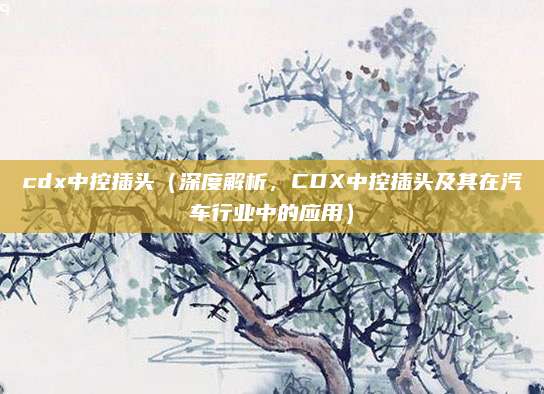 cdx中控插头(深度解析,CDX中控插头及其在汽车行业中的应用)