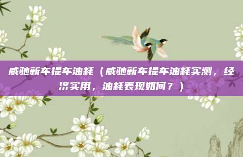 威驰新车提车油耗(威驰新车提车油耗实测,经济实用,油耗表现如何?)