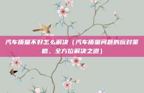 汽车质量不好怎么解决(汽车质量问题的应对策略,全方位解决之道)