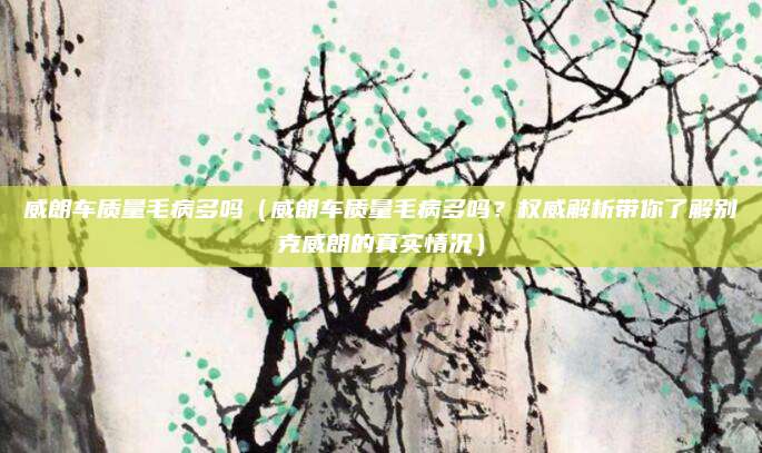 威朗车质量毛病多吗(威朗车质量毛病多吗?权威解析带你了解别克威朗的真实情况)