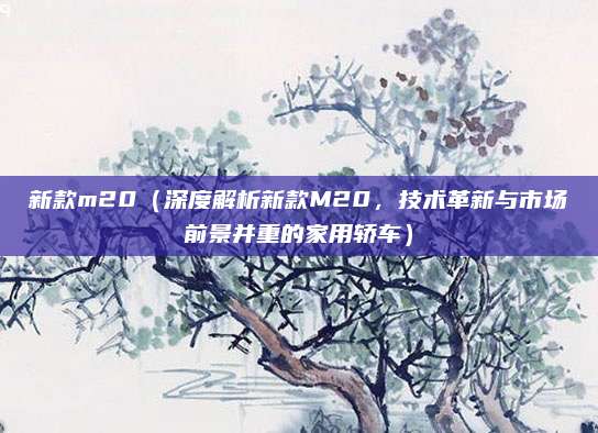 新款m20(深度解析新款M20,技术革新与市场前景并重的家用轿车)