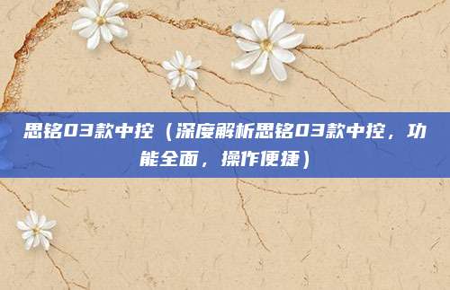 思铭03款中控(深度解析思铭03款中控,功能全面,操作便捷)