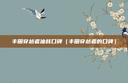 丰田穿越者油耗口碑(丰田穿越者的口碑)