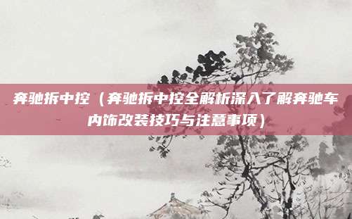奔驰拆中控(奔驰拆中控全解析深入了解奔驰车内饰改装技巧与注意事项)
