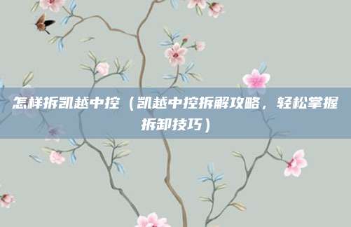 怎样拆凯越中控(凯越中控拆解攻略,轻松掌握拆卸技巧)