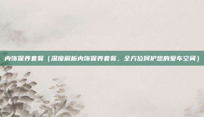内饰保养套餐(深度解析内饰保养套餐,全方位呵护您的爱车空间)