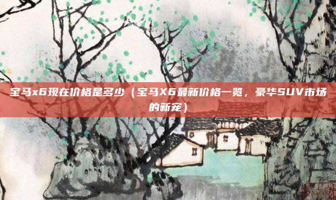 宝马x6现在价格是多少(宝马X6最新价格一览,豪华SUV市场的新宠)