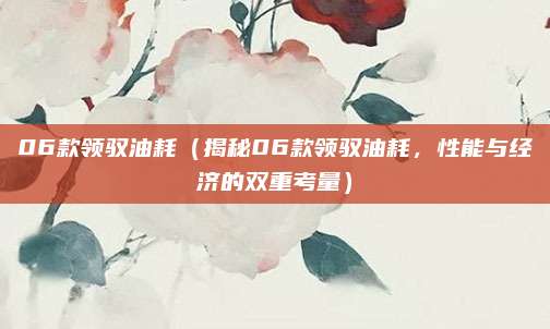 06款领驭油耗(揭秘06款领驭油耗,性能与经济的双重考量)