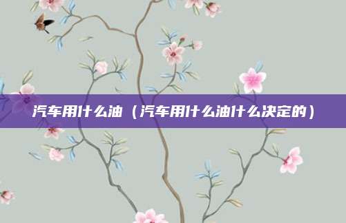 汽车用什么油(汽车用什么油什么决定的)