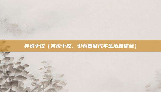 宾悦中控（宾悦中控，引领智能汽车生活新体验）