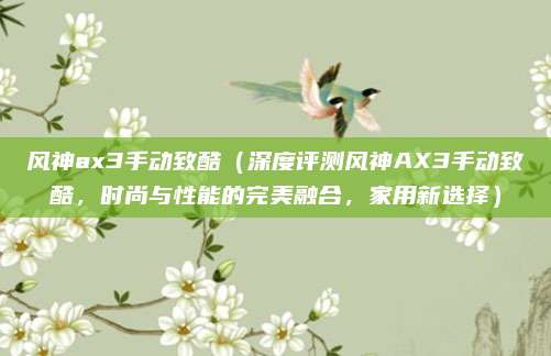 风神ax3手动致酷（深度评测风神AX3手动致酷，时尚与性能的完美融合，家用新选择）