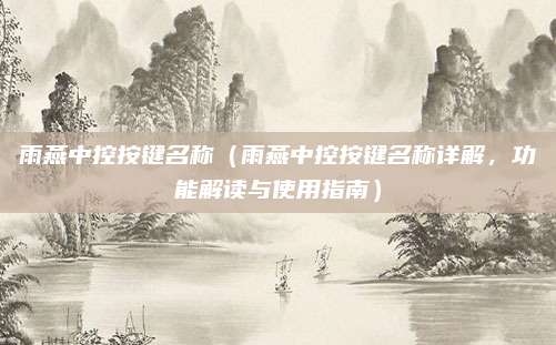 雨燕中控按键名称（雨燕中控按键名称详解，功能解读与使用指南）