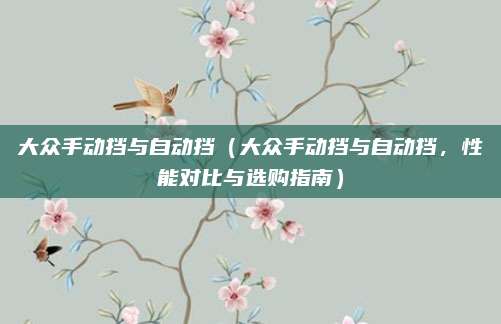 大众手动挡与自动挡（大众手动挡与自动挡，性能对比与选购指南）