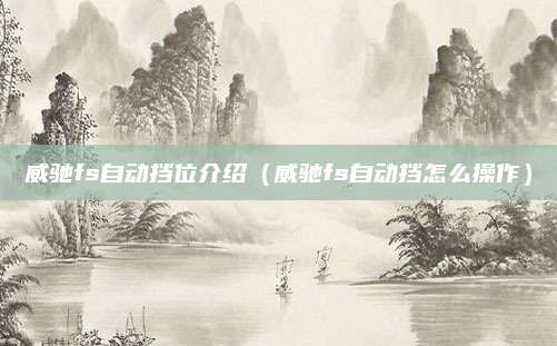 威驰fs自动挡位介绍(威驰fs自动挡怎么操作)