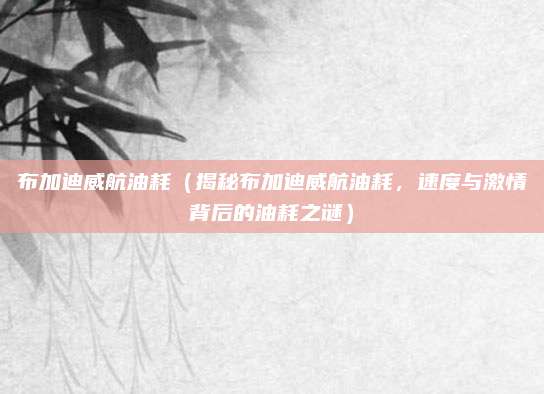 布加迪威航油耗（揭秘布加迪威航油耗，速度与激情背后的油耗之谜）
