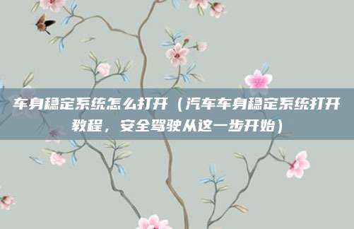车身稳定系统怎么打开(汽车车身稳定系统打开教程,安全驾驶从这一步开始)