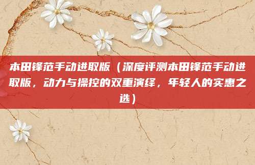 本田锋范手动进取版（深度评测本田锋范手动进取版，动力与操控的双重演绎，年轻人的实惠之选）