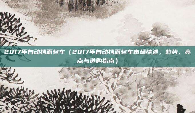 2017年自动挡面包车(2017年自动挡面包车市场综述,趋势、亮点与选购指南)