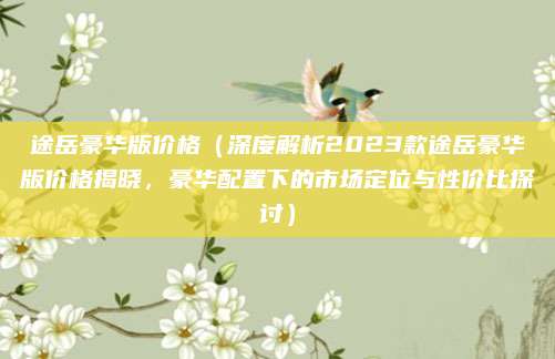 途岳豪华版价格(深度解析2023款途岳豪华版价格揭晓,豪华配置下的市场定位与性价比探讨)
