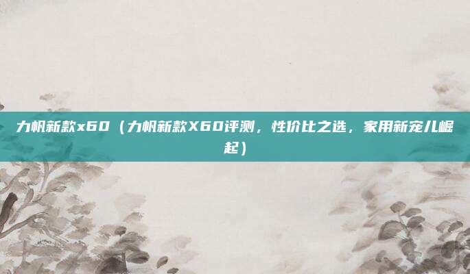 力帆新款x60(力帆新款X60评测,性价比之选,家用新宠儿崛起)