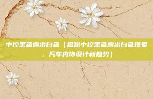 中控黑色露出白色(揭秘中控黑色露出白色现象,汽车内饰设计新趋势)