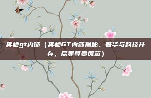 奔驰gt内饰（奔驰GT内饰揭秘，奢华与科技并存，尽显尊贵风范）