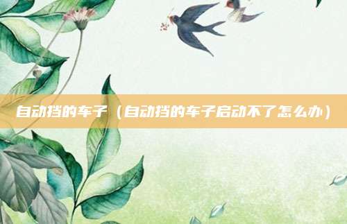 自动挡的车子(自动挡的车子启动不了怎么办)