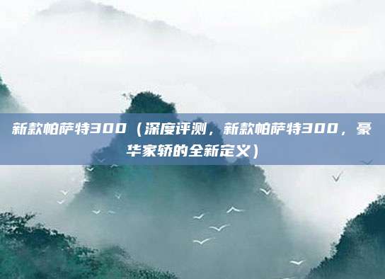 新款帕萨特300(深度评测,新款帕萨特300,豪华家轿的全新定义)