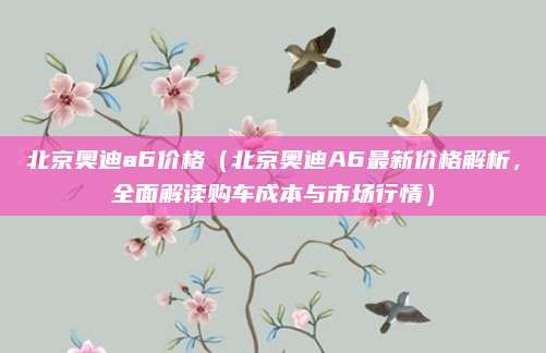 北京奥迪a6价格(北京奥迪A6最新价格解析,全面解读购车成本与市场行情)