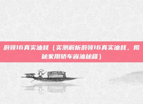 蔚领16真实油耗（实测解析蔚领16真实油耗，揭秘家用轿车省油秘籍）