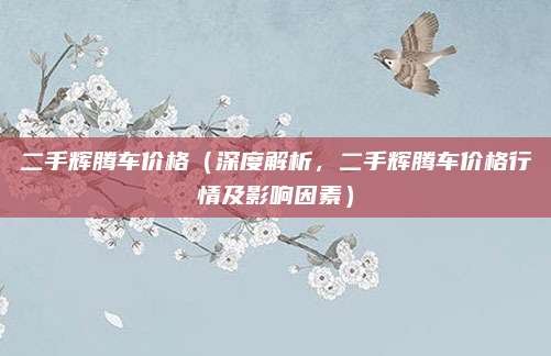 二手辉腾车价格(深度解析,二手辉腾车价格行情及影响因素)