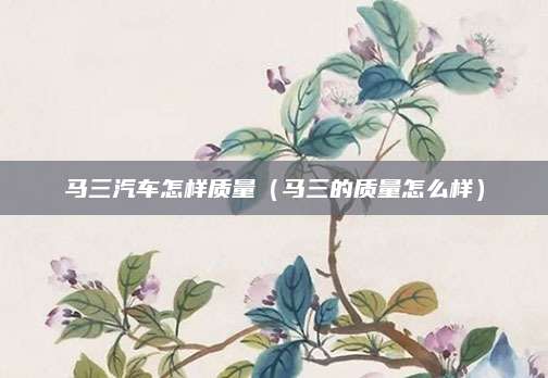 马三汽车怎样质量(马三的质量怎么样)