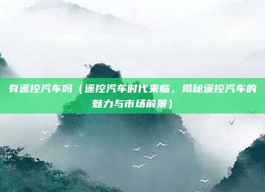 有遥控汽车吗(遥控汽车时代来临,揭秘遥控汽车的魅力与市场前景)