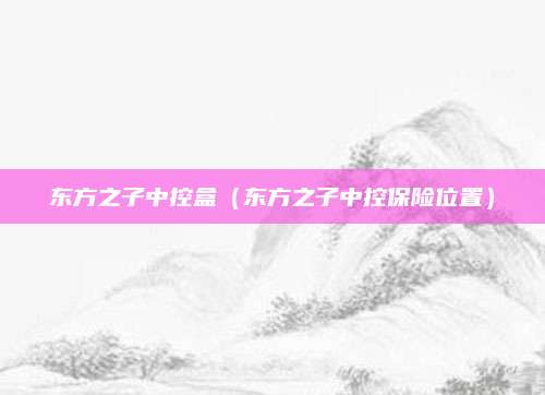 东方之子中控盒(东方之子中控保险位置)