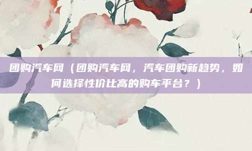 团购汽车网(团购汽车网,汽车团购新趋势,如何选择性价比高的购车平台?)