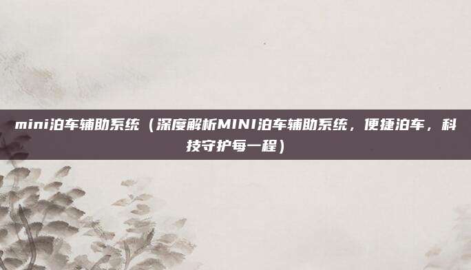 mini泊车辅助系统(深度解析MINI泊车辅助系统,便捷泊车,科技守护每一程)