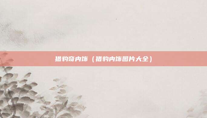 猎豹奇内饰(猎豹内饰图片大全)