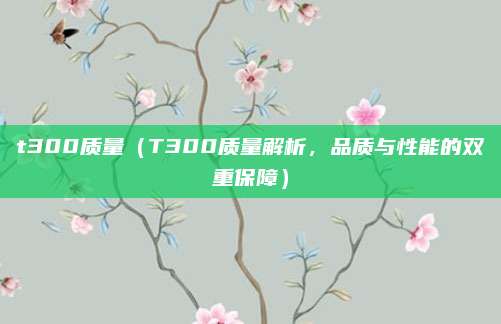t300质量(T300质量解析,品质与性能的双重保障)