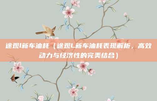 途观l新车油耗(途观L新车油耗表现解析,高效动力与经济性的完美结合)
