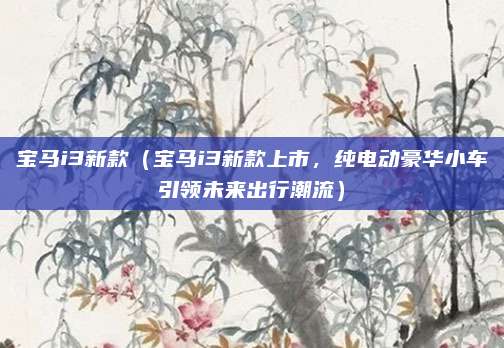 宝马i3新款(宝马i3新款上市,纯电动豪华小车引领未来出行潮流)