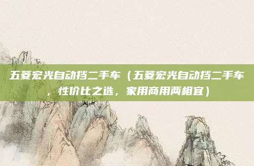 五菱宏光自动挡二手车(五菱宏光自动挡二手车,性价比之选,家用商用两相宜)