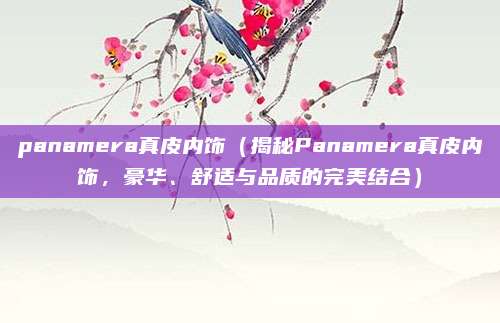 panamera真皮内饰(揭秘Panamera真皮内饰,豪华、舒适与品质的完美结合)